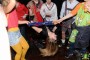 Thumbs/tn_Wagenmakersbal 2017 397.jpg